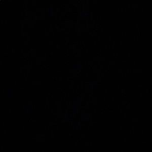 Meet your Posher, Carlie